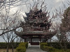 -上海海湾国家森林公园