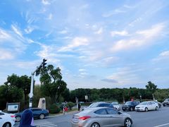 -合肥滨湖国家森林公园