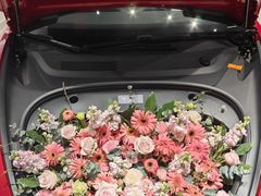 -TESLA 特斯拉(北京颐堤港体验店)