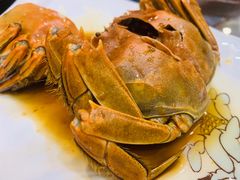 -呼吸森林·生态农庄农家乐私房菜