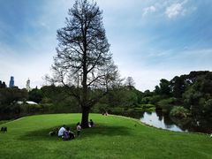 -墨尔本皇家植物园