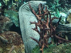-鹿儿岛水族馆