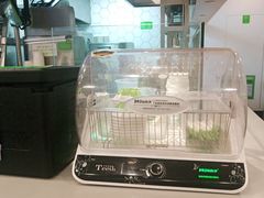 -老乡鸡(寿县三中店)