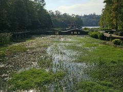 -深圳仙湖植物园