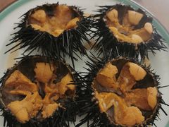 活海胆-海胆小馆(春柳店)