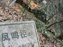 -梧桐山风景名胜区