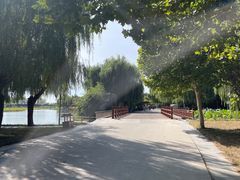-白洋淀景区