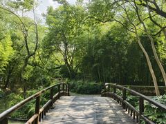 -上海方塔园
