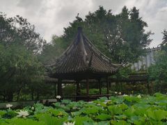 -上海醉白池公园