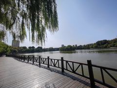-二一九公园