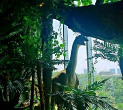 -恐龙探索乐园(磁器口店)