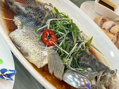 -渔民新村(番禺总店)