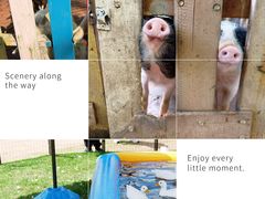 -上海佘山世茂艾美酒店