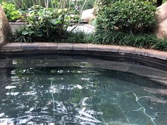 -七彩云南古滇温泉山庄