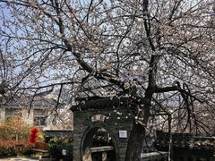 -天朝元辅-徐州民俗博物馆