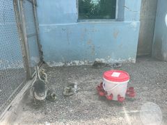 -青藏高原野生动物园