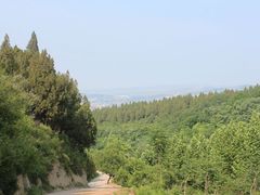 -原山国家森林公园