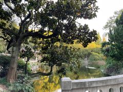 -叶家花园