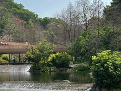-云溪植物园