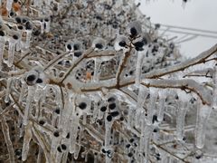 -长春公园(普阳街道)