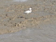 -深圳湾公园(南山区)