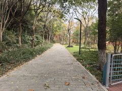 -上海吴淞炮台湾国家湿地公园