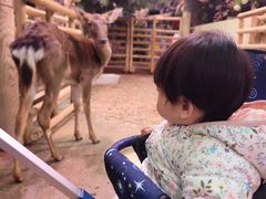 -正佳雨林生态植物园