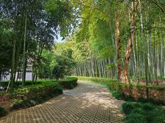 -兰亭风景区