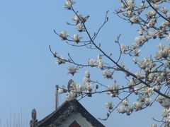 -长春观