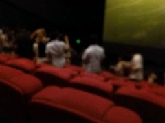 -万达影城(潍坊万达广场IMAX店)