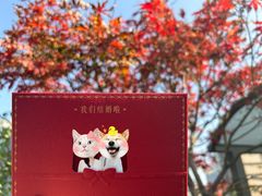 -海马体照相馆(新南凯德广场店)