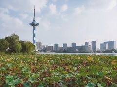 -聚龙湖公园