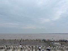 -南汇新城海滩
