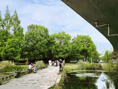 -白鹭湾湿地公园
