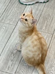 -兔猫ToMoreNails美甲美睫
