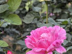 -人民公园(罗湖区)