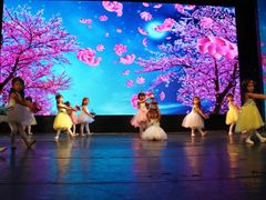 -美育儿童音乐舞蹈国际机构(浦东分校)