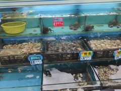 -大润发(张江店)