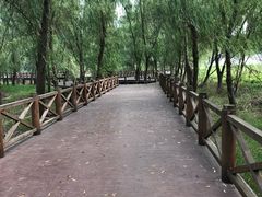 -瑞慈体检南通滨江机构