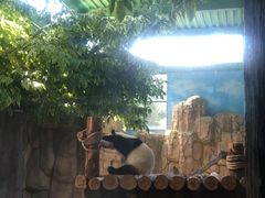 -泉州海丝野生动物世界