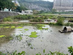 -龙环葡韵住宅式博物馆