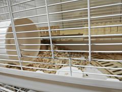 -FAELING PETS美天灵宠物(富力广场店)