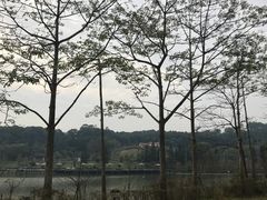 -田野绿世界