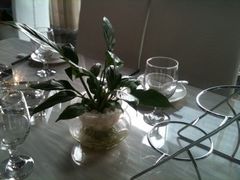 -卡利涅娜涮香锅