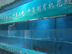 -永安水煮活鱼·仪征菜(仪征奥林匹克店)