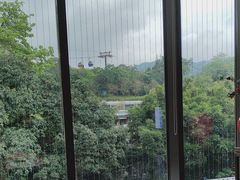 -点都德(广州白云山景区南门店)