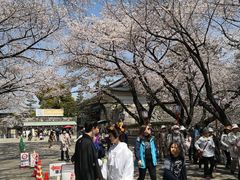 -名古屋城