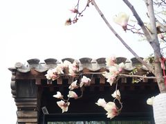 -三里河公园