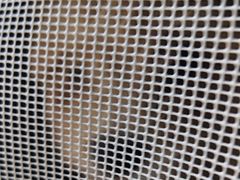 -博特宠物医院24h犬猫全科.骨科·异宠