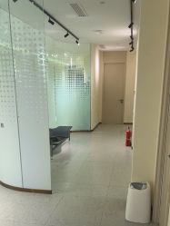 -碧莲盛·脱发养发中心